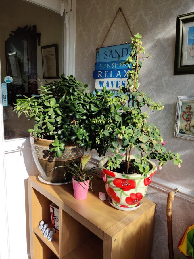 Cameron Court B&B Flamborough Zewnętrze zdjęcie