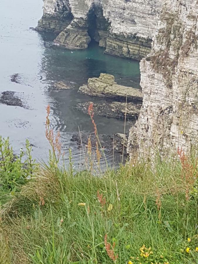 Cameron Court B&B Flamborough Zewnętrze zdjęcie
